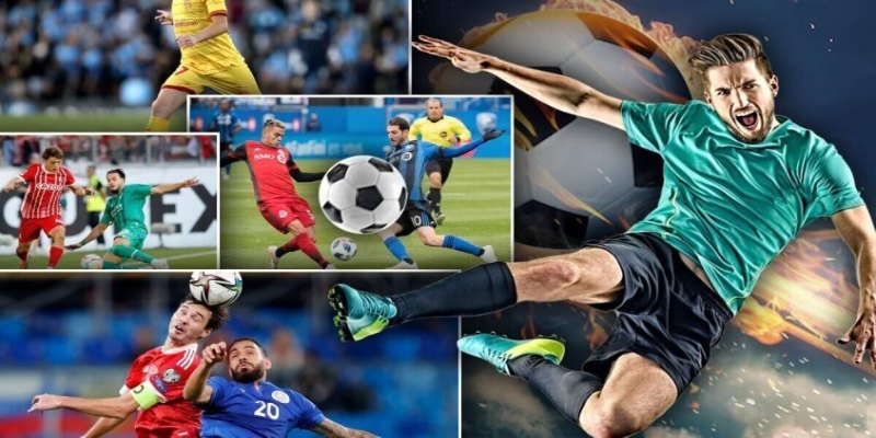Anh em hội viên cần hiểu sâu các bộ môn thể thao
