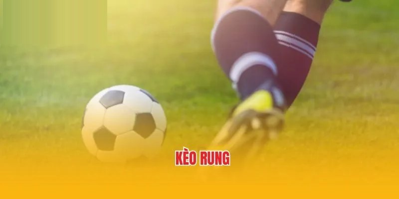 Hiểu rõ quy tắc cùng đặc điểm của kèo rung AE888