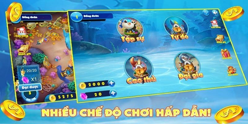 Nhiều ngư thủ lựa chọn sảnh săn cá Long Vương