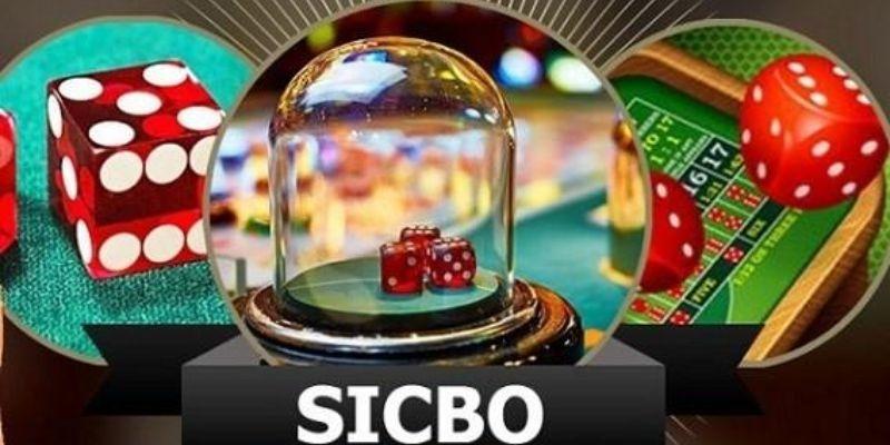 Sicbo Live trực tiếp hiển thị xúc xắc rõ nét